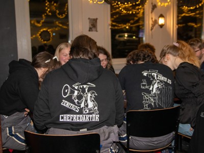 Bild från "Dizney zläppet"
