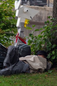 Bild från "Kappseglingen"