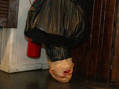 Bild från "Daltonz ET-Pub LP1"