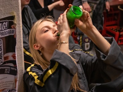 Bild från "Julmuzthäfv"