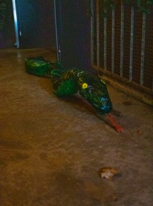 Bild från "Expedition gaZquen"