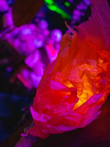 Bild från "Expedition gaZquen"