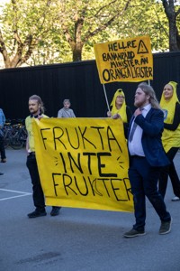 Bild från "Cortegen"